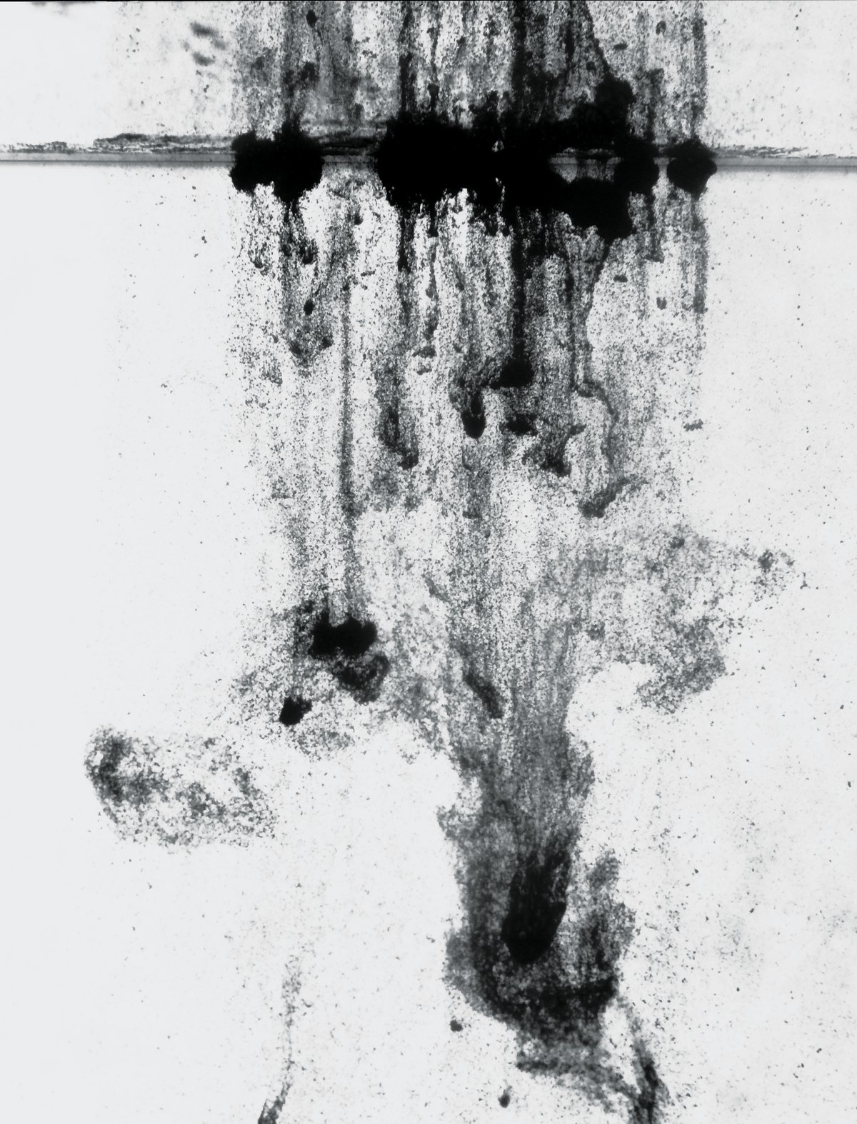 PFAS purification by NORIT activated carbon
