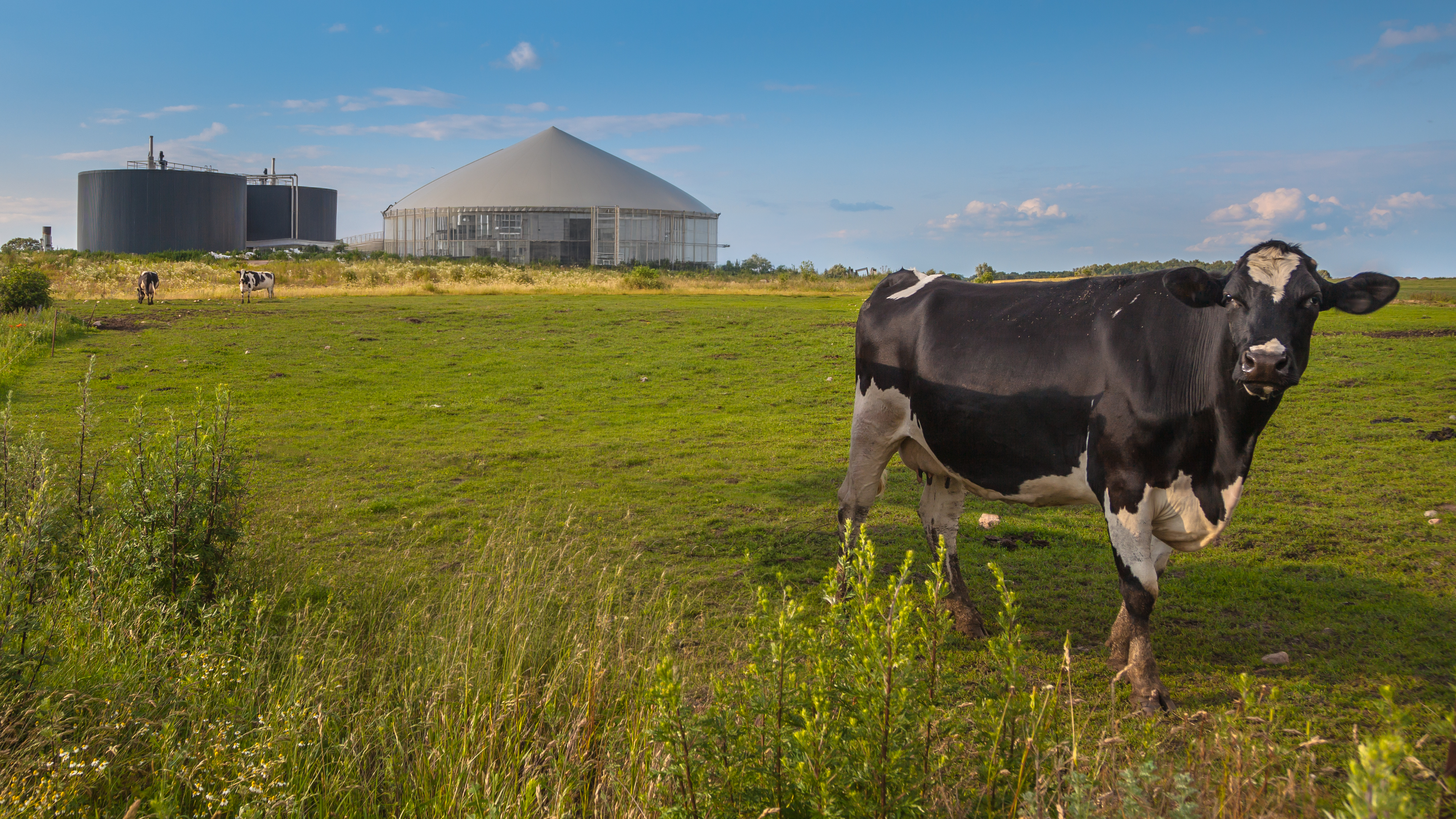 Oxygen Injection for Anaerobic Digestion