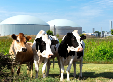 Unlocking the Value of Anaerobic Digestion with Activated Carbon