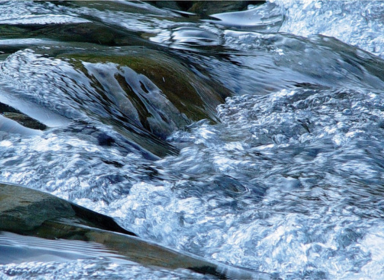 Water Treatment Services: Wastewater Brochure